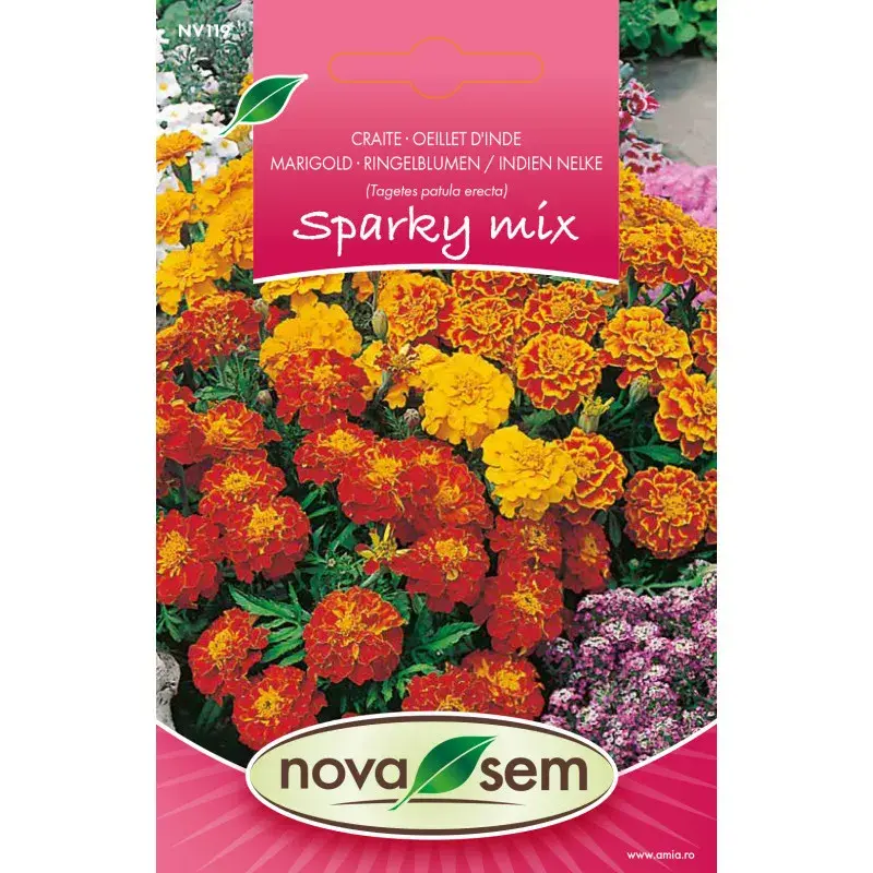 Nova Sem Seeds - French marigold Sparky