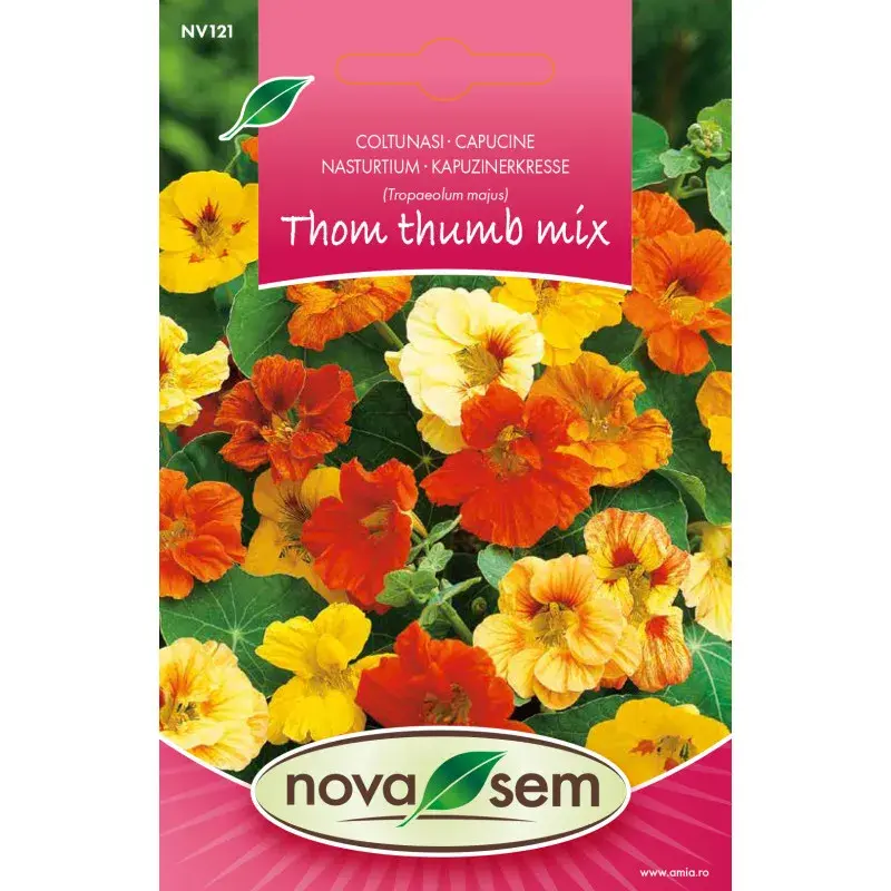 Nova Sem Seeds - Nasturtium Tall mix
