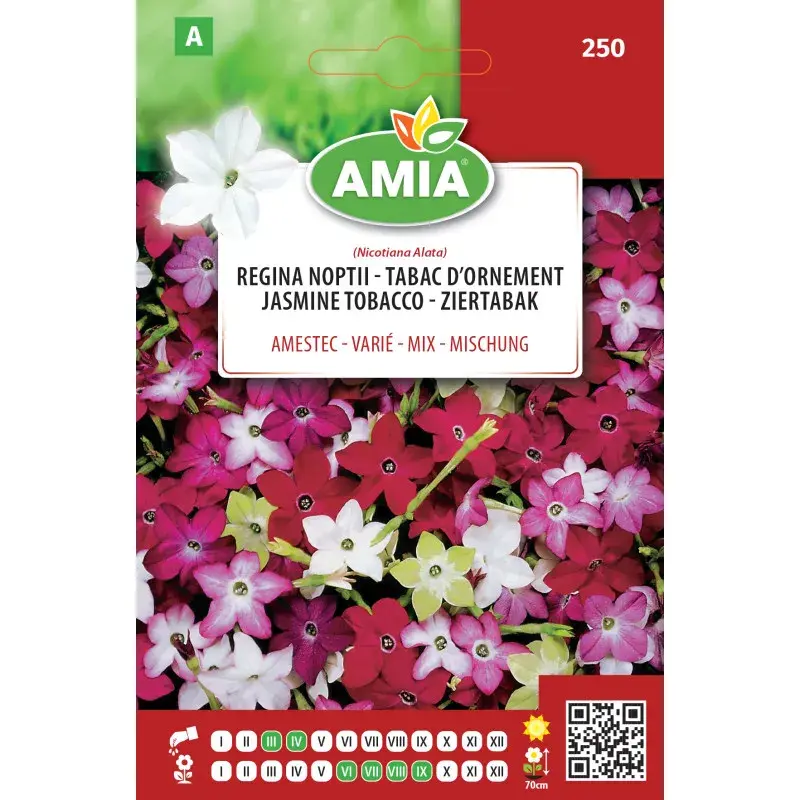 Amia Seeds - Flowering tobacco