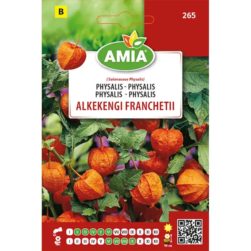 Amia Seeds - Chinese lantern Franchetii