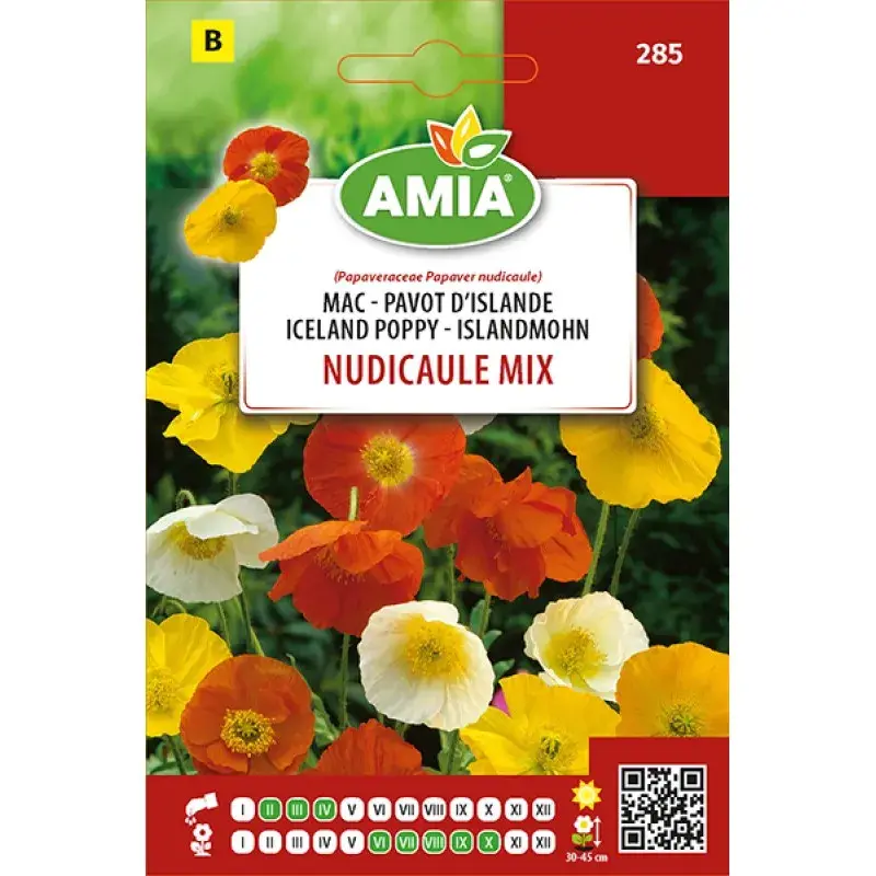 Amia Seeds - Iceland poppy Mix