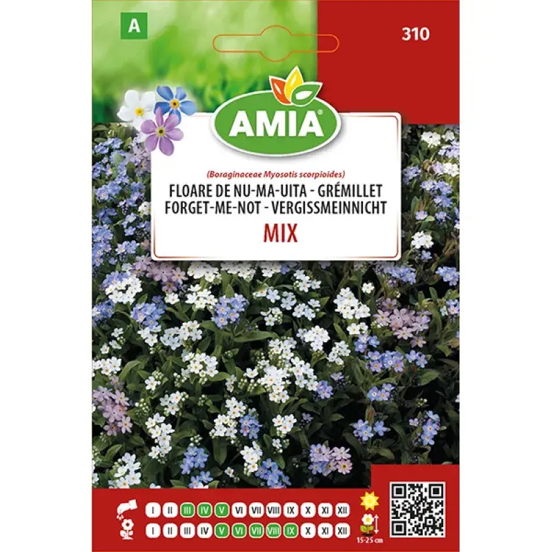 Amia Seeds - Forget-me-not Mix