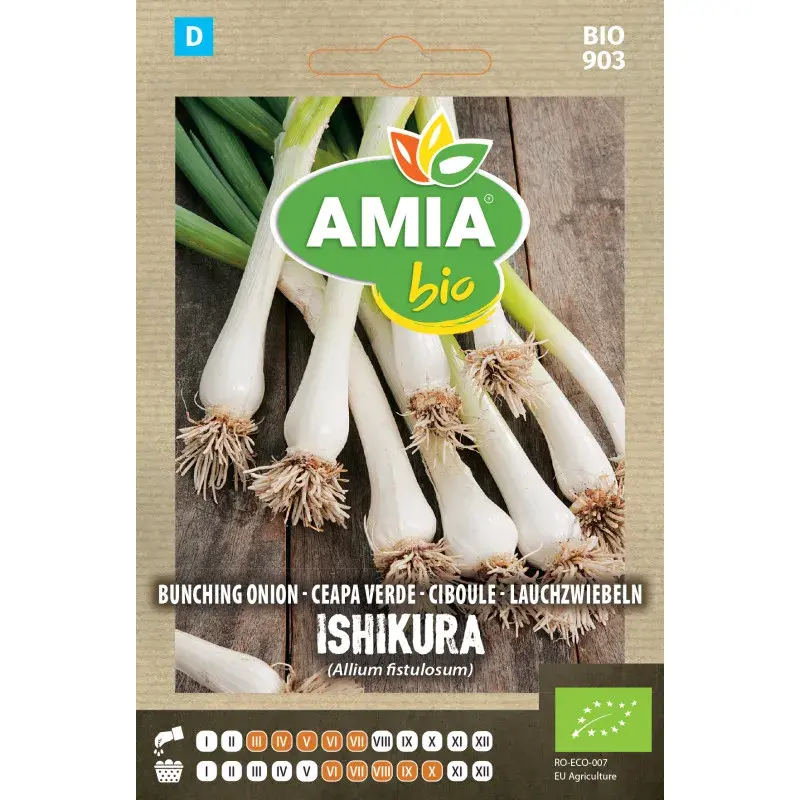 Amia BIO Seeds - Spring onion Blanc Ishikura