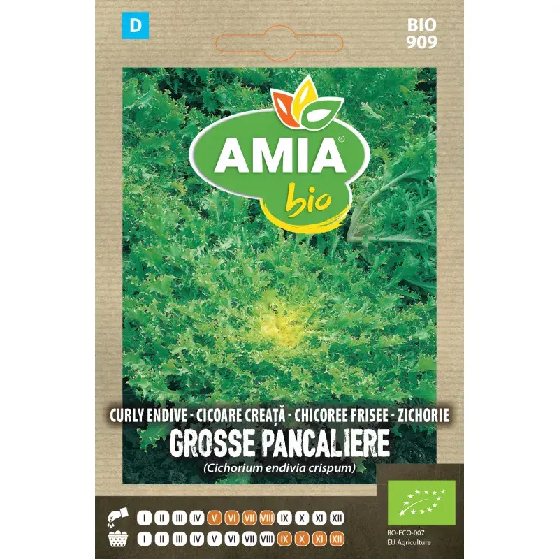 Amia BIO Seeds - Curly endive Grosse Pancaliere Alba