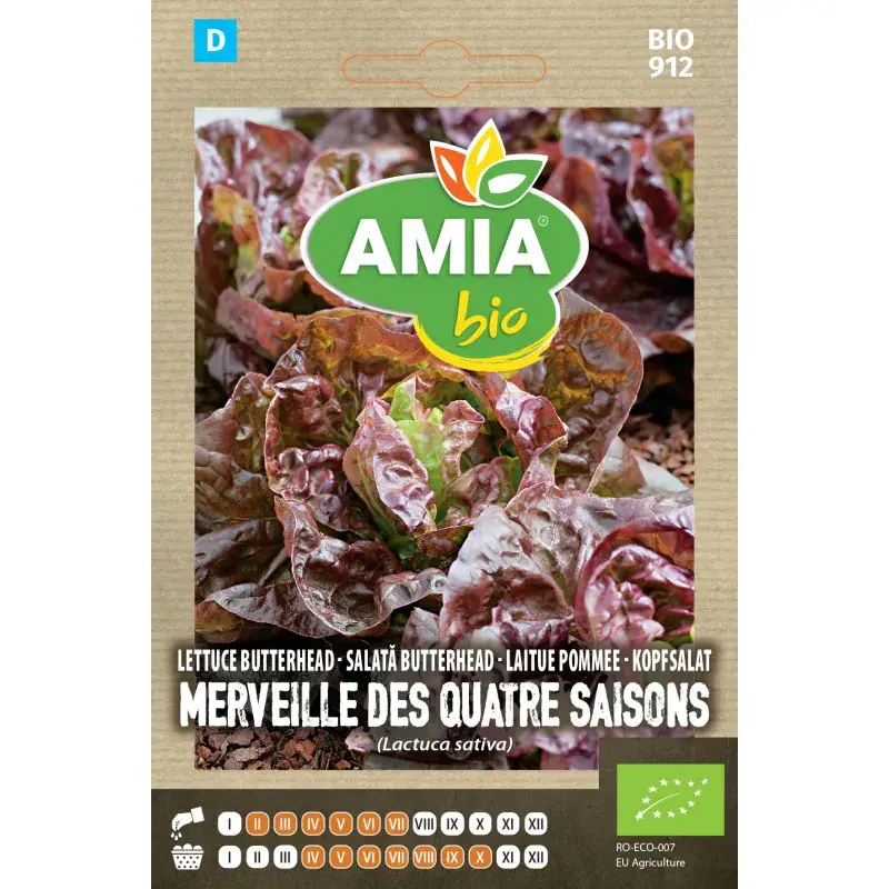 Amia BIO Seeds - Lettuce ButterHead Merveille des Quatre Saisons