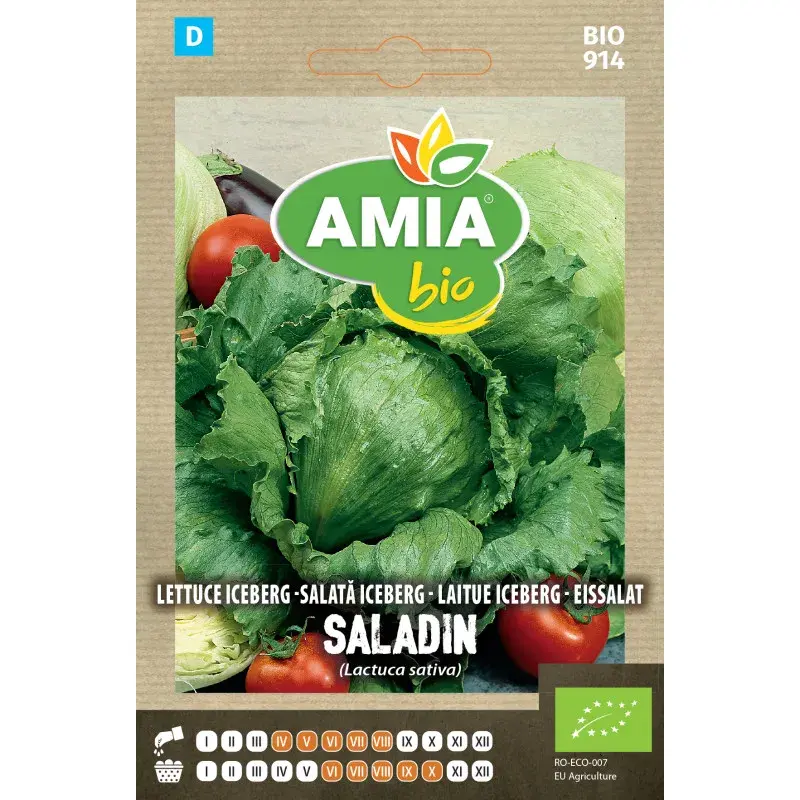 Amia BIO Seeds - Lettuce Iceberg