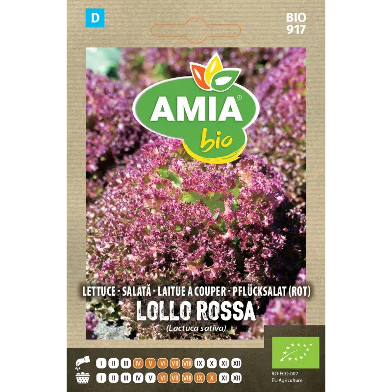 Amia BIO Seeds - Lettuce Lollo Rossa