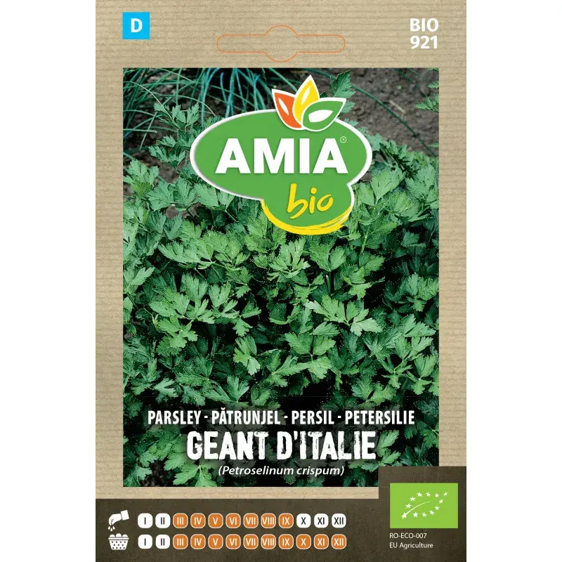 Amia BIO Seeds - Parsley Géant d'Italie