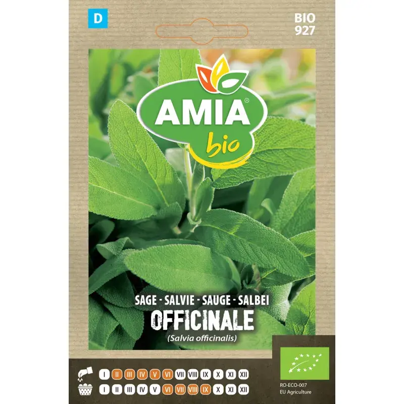 Amia BIO Seeds - Sage
