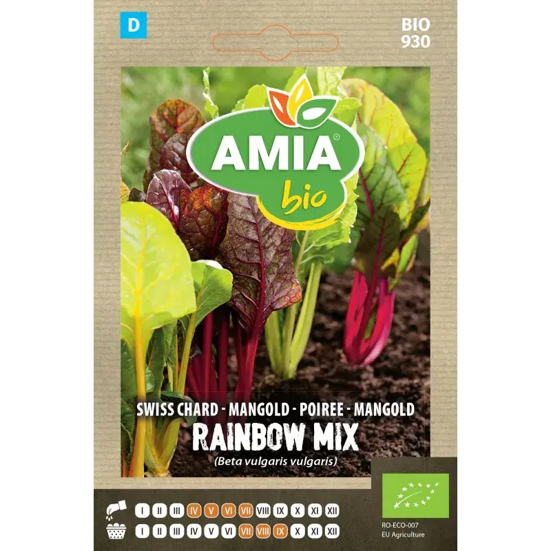 Amia BIO Seeds - Swiss chard Rainbow Mix