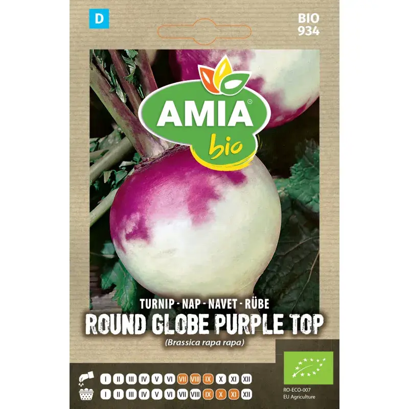 Amia BIO Seeds - Turnip Globe Purple Top