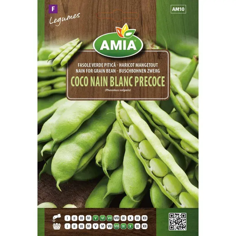 Amia Seeds - Bean Coco Nain Blanc Précoce