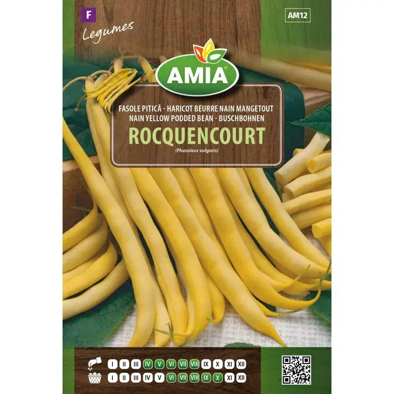 Amia Seeds - Bean Rocquencourt