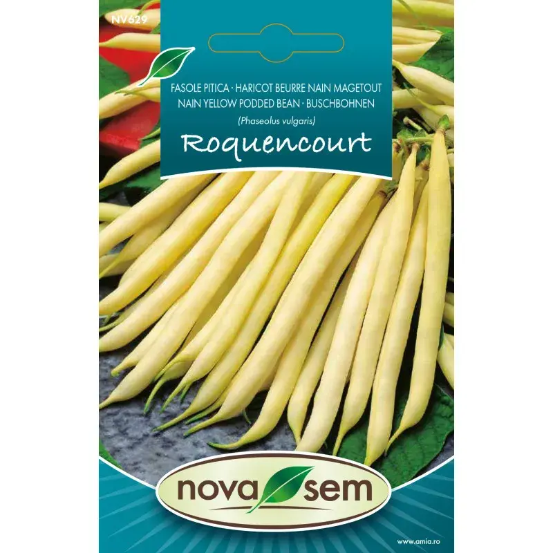 Nova Sem Seeds - Bean Rocquencourt