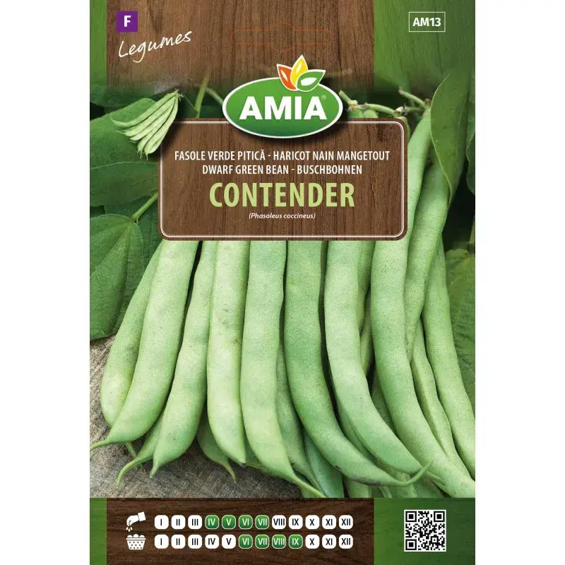 Amia Seeds - Bean Contender