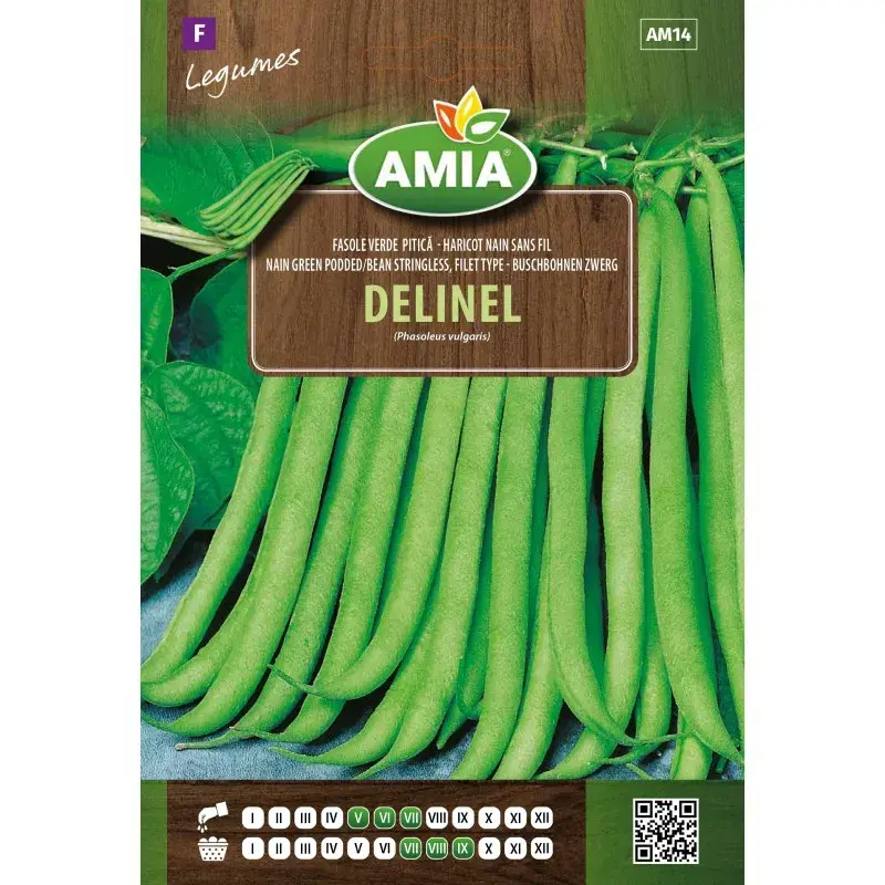 Amia Seeds - Bean Delinel