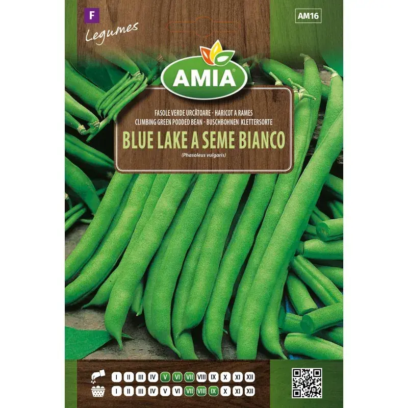 Amia Seeds - Bean Blue Lake a Seme Bianco