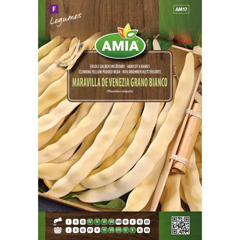 Amia Seeds - Bean Maravilla de Venezia Grano Bianco