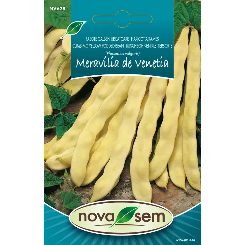 Nova Sem Seeds - Bean Maravilla de Venezia Grano Bianco