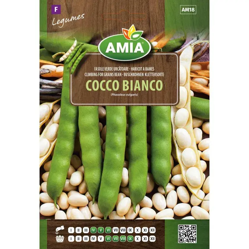 Amia Seeds - Bean Cocco Bianco