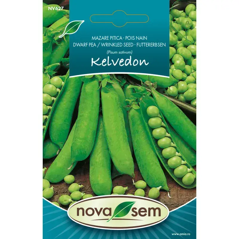 Nova Sem Seeds - Pea Kelvedon Wonder