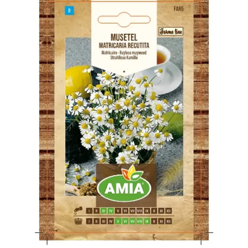 Amia Seeds - Chamomile
