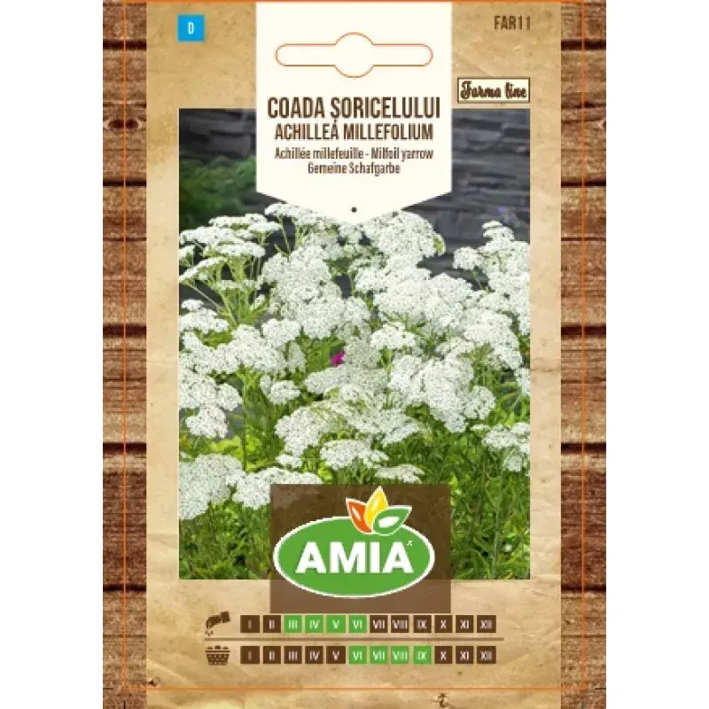 Amia Seeds - Yarrow