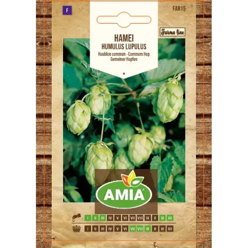 Amia Seeds - Hop