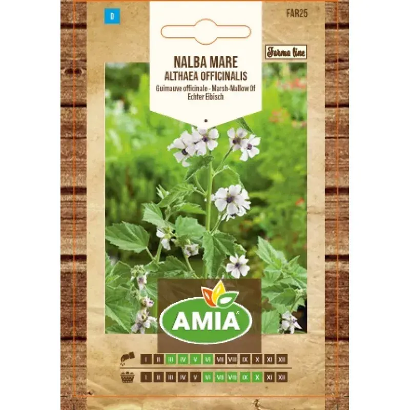 Amia Seeds - Marshmallow