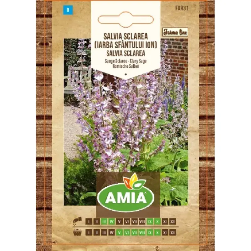 Amia Seeds - Clary sage