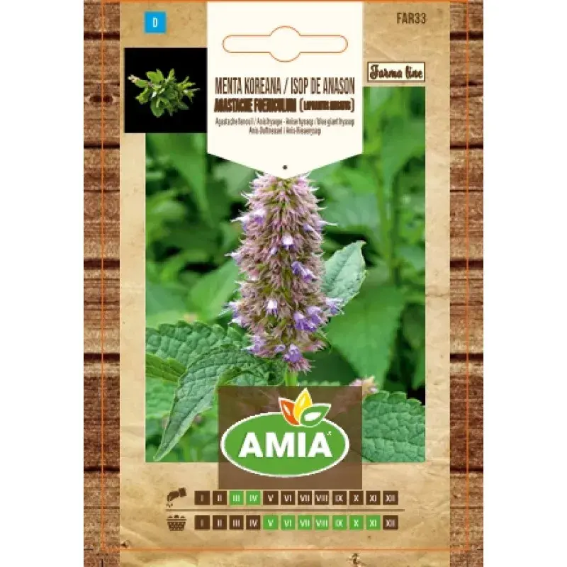 Amia Seeds - Korean mint