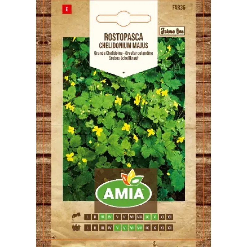 Amia Seeds - Greater celandine
