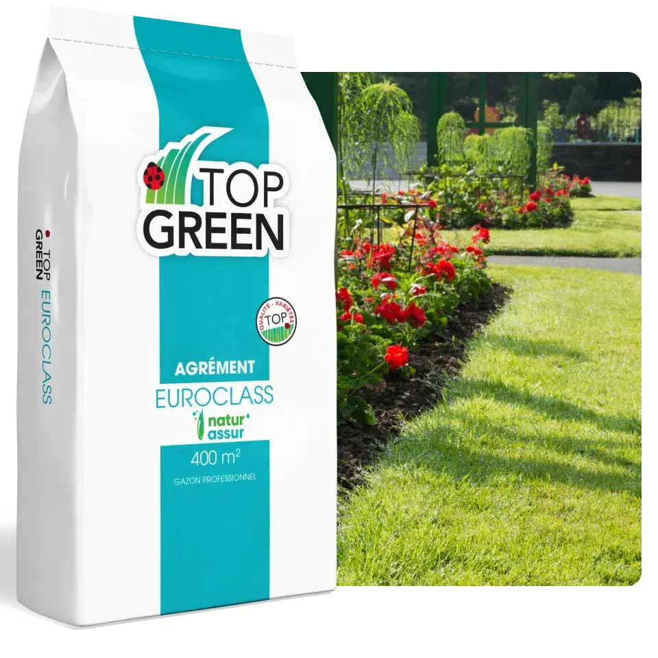 Semences Top Green - Gazon Euroclass