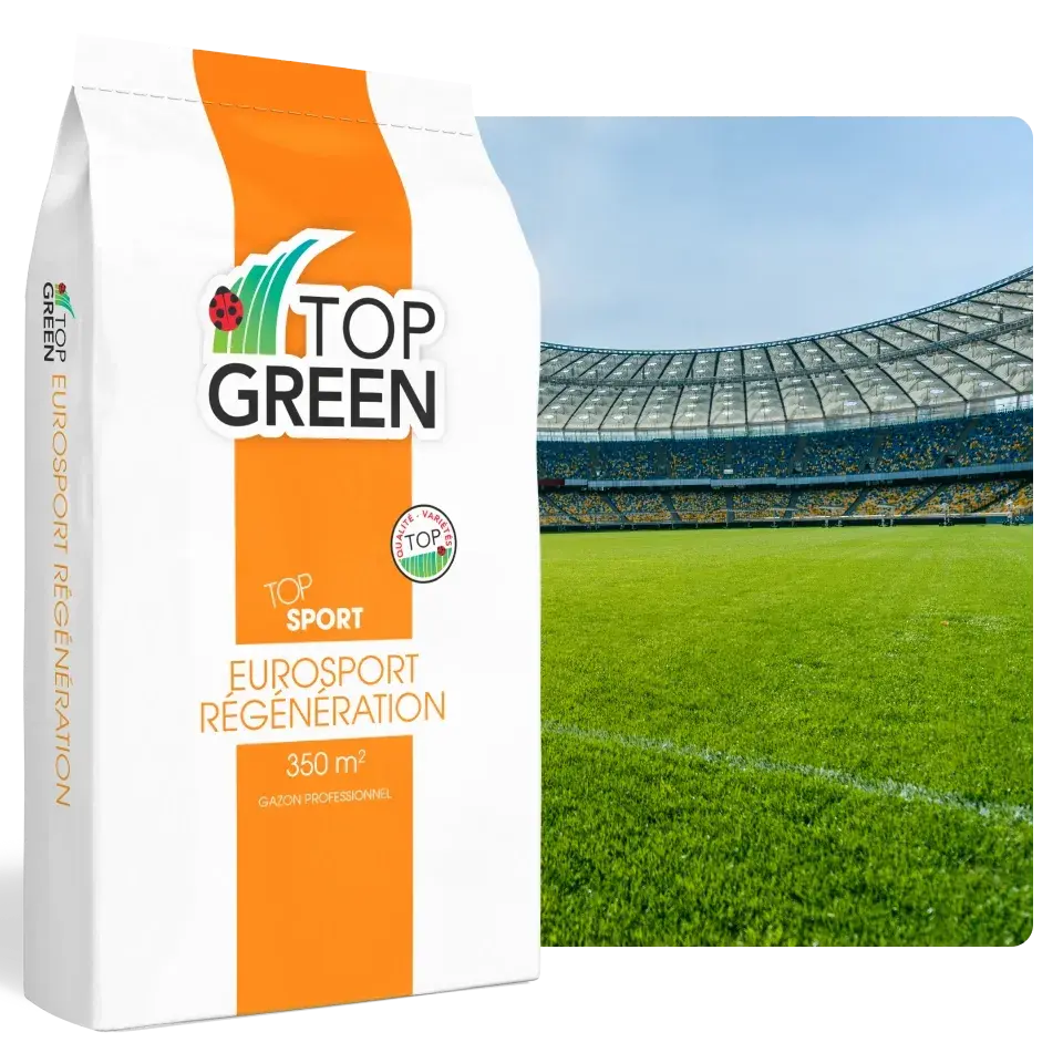 Semences Top Green - Gazon Eurosport Regeneration