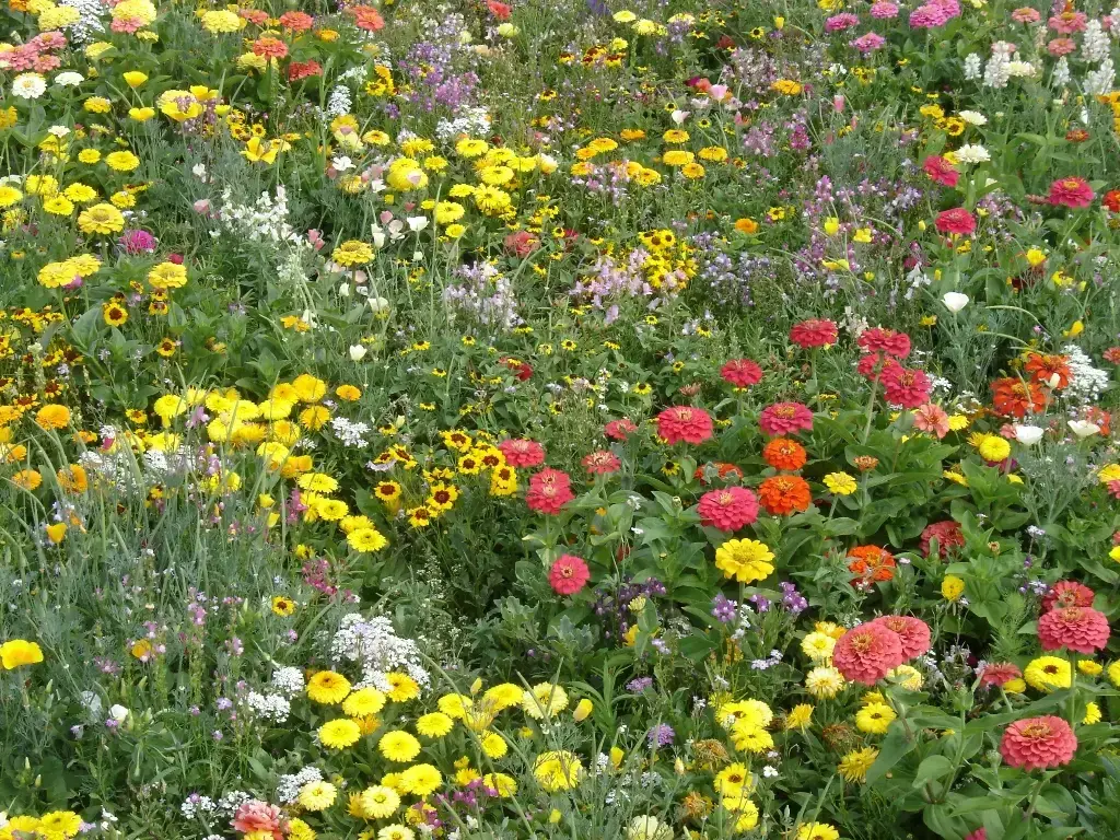Mélange de fleurs Mini Tapis Multicolore