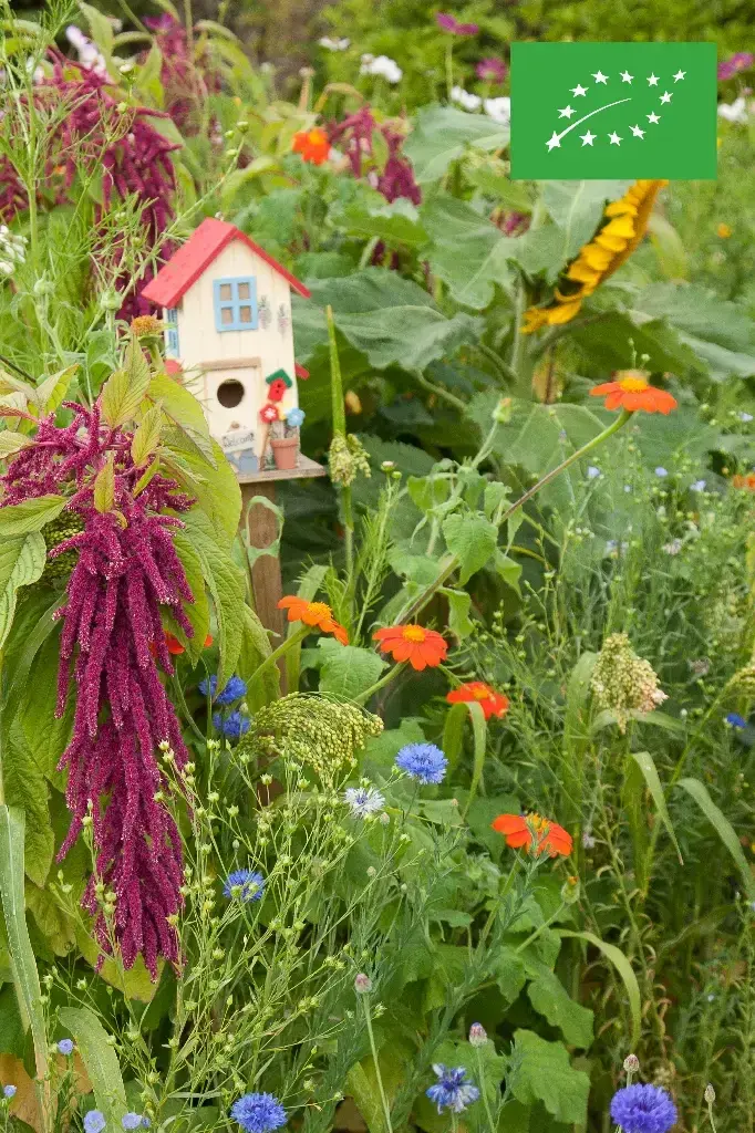 Mélange de fleurs Fleurs annuelles pour Oiseaux - BIO