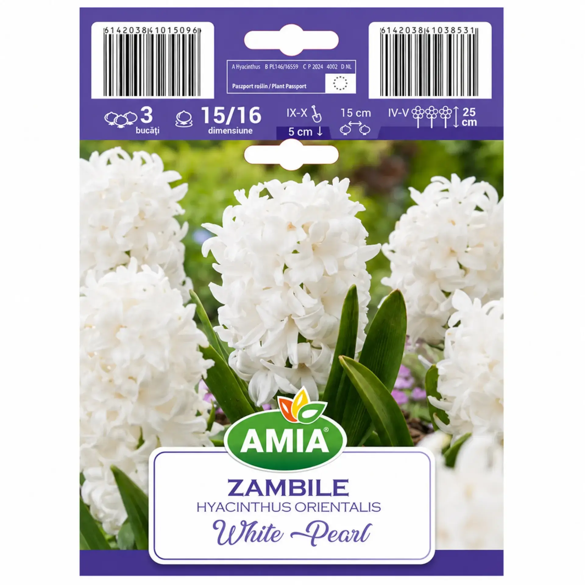 Hyacinths White Pearl