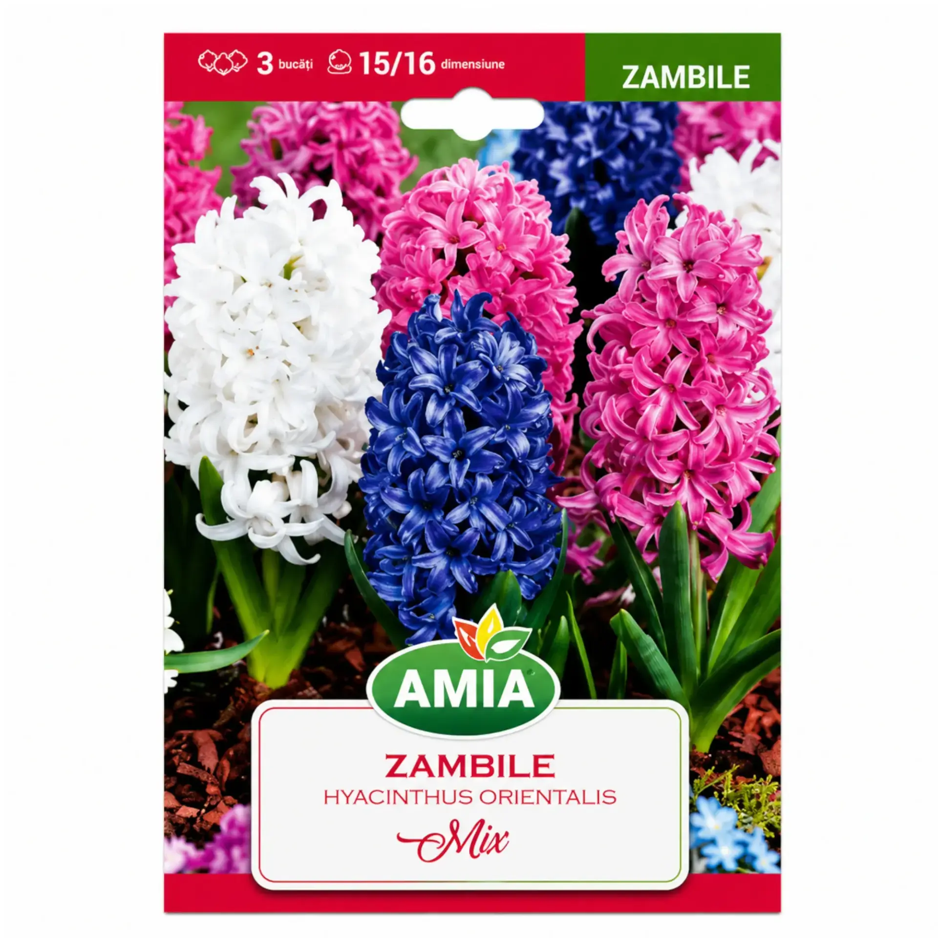 Hyacinths Mix