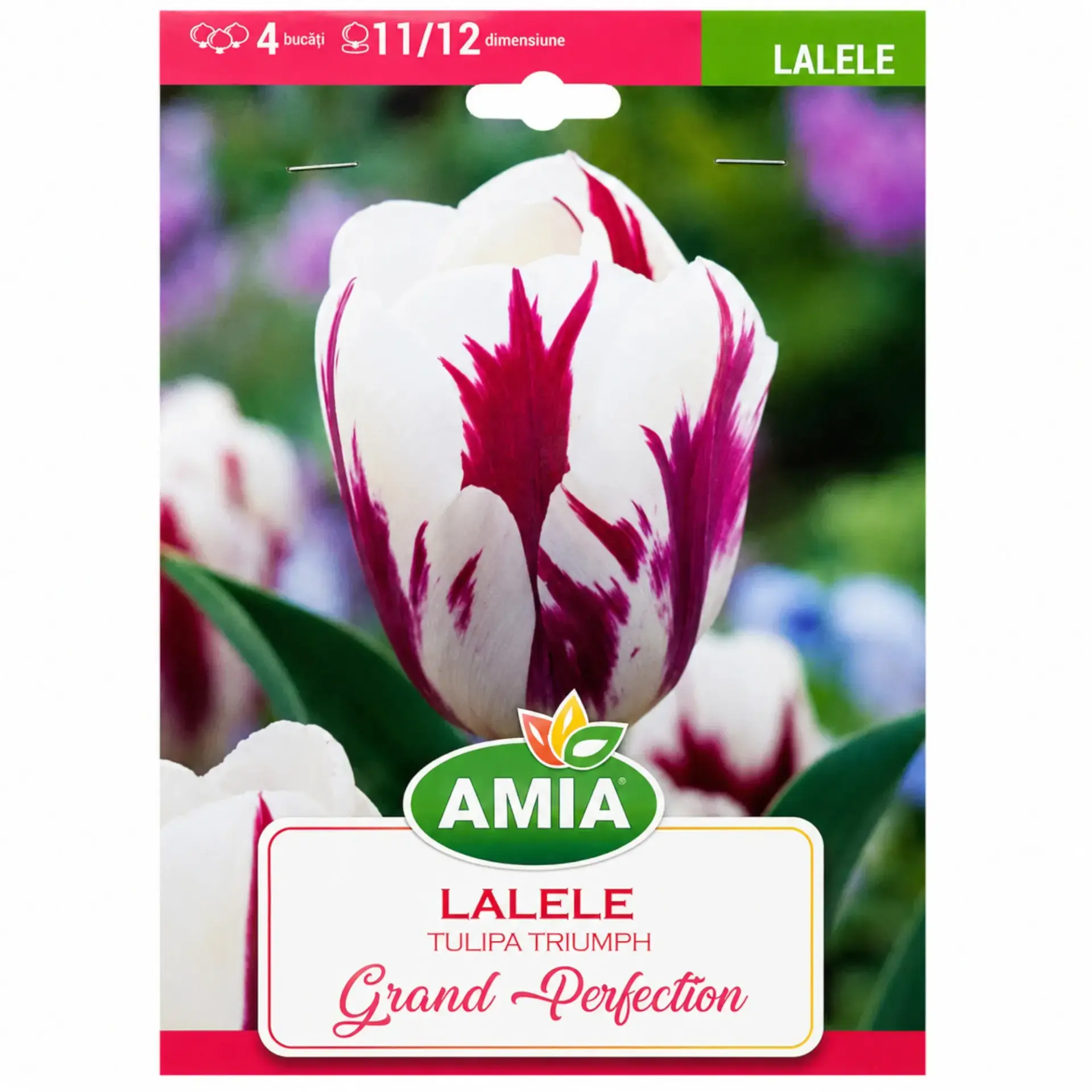 Tulips Grand Perfection