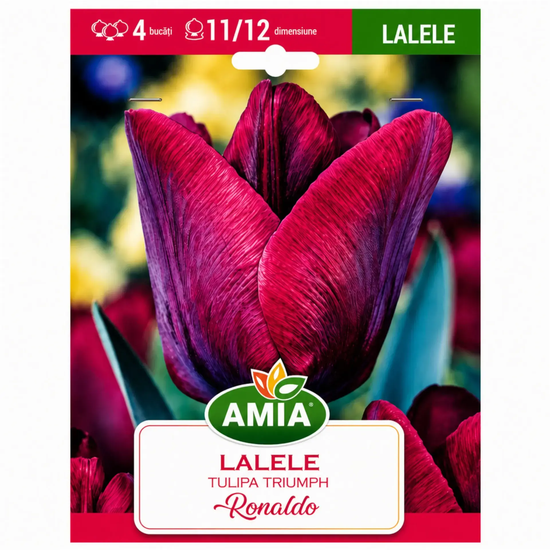 Tulips Ronaldo