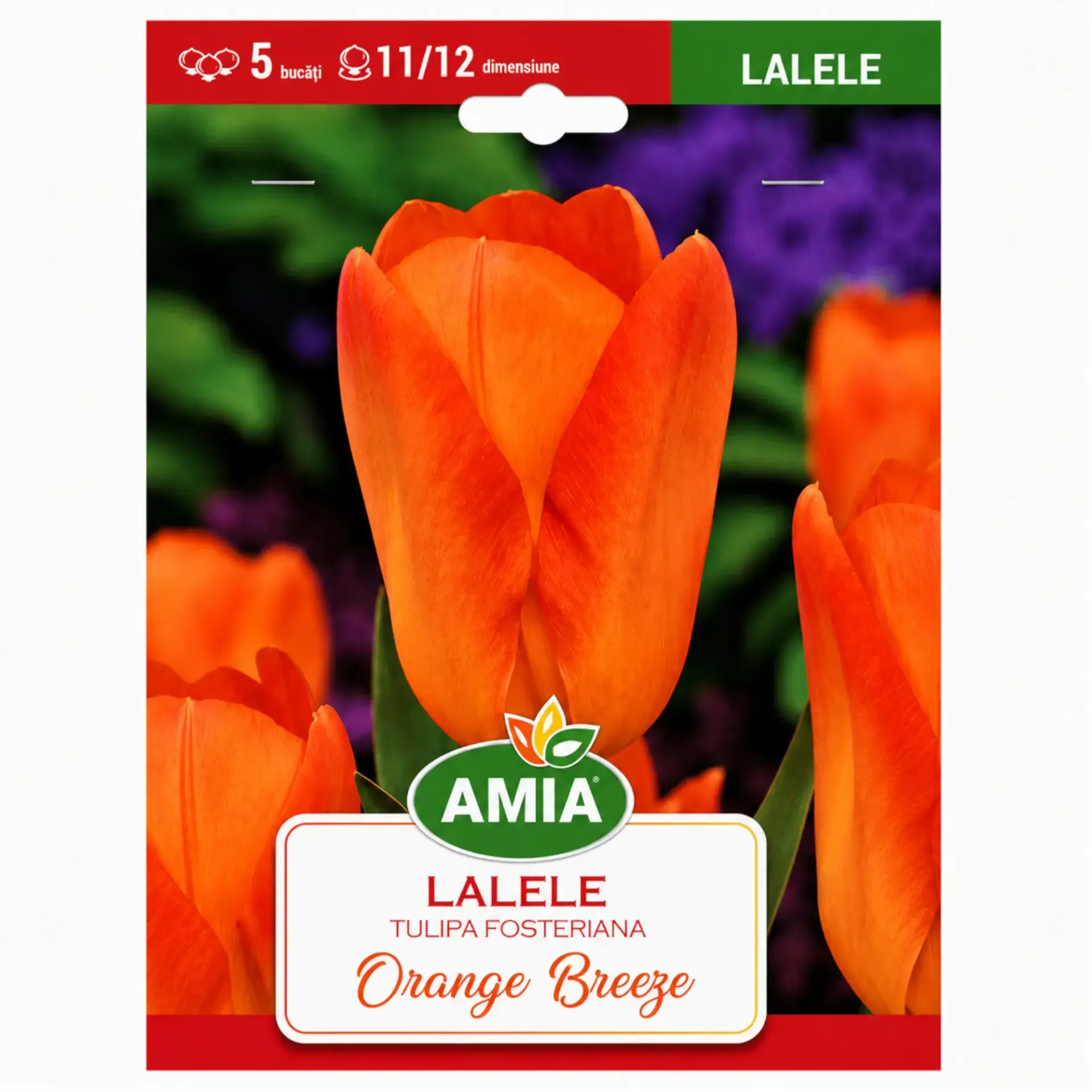Tulips Orange Breeze