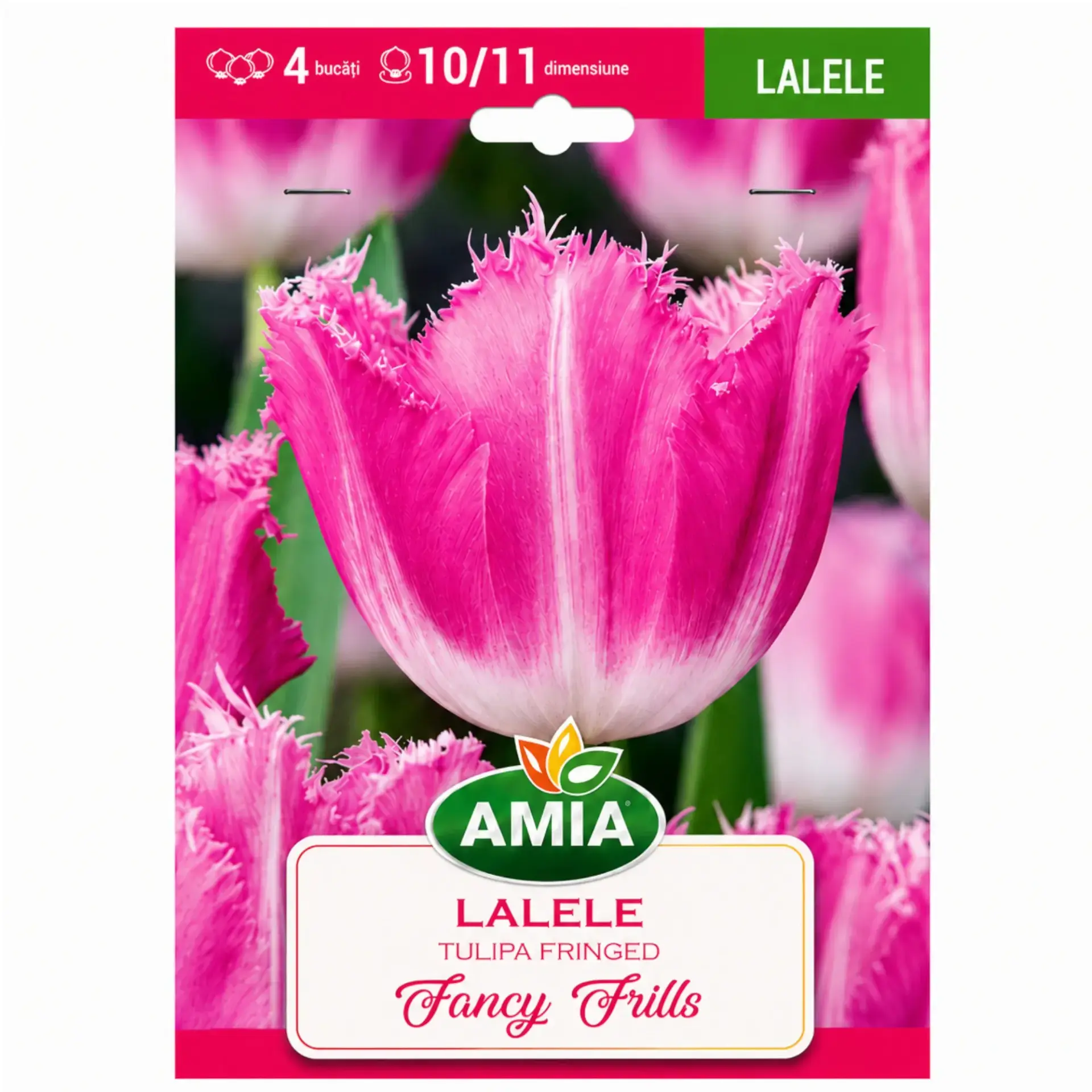 Tulips Fancy Frills