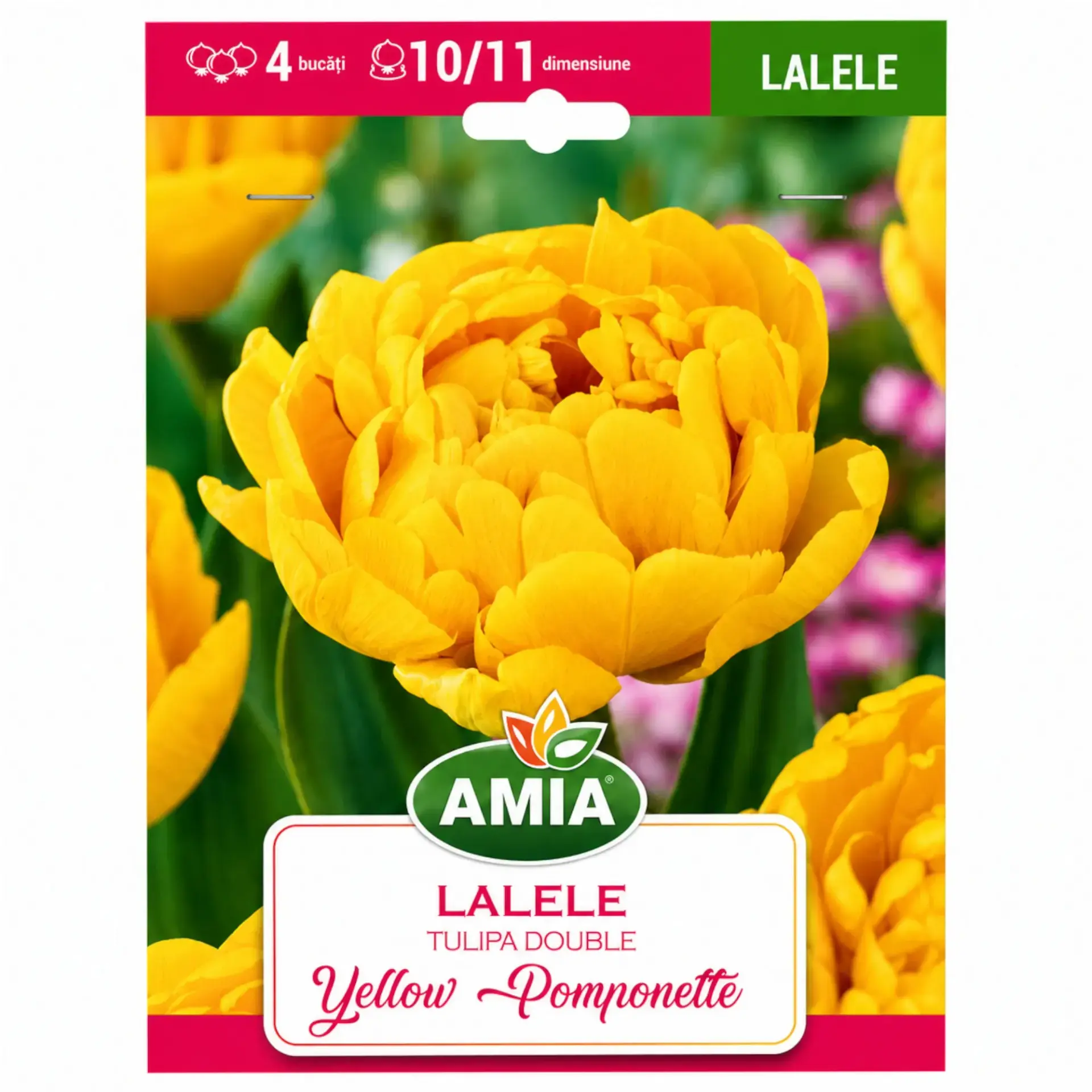 Tulips Yellow Pomponette