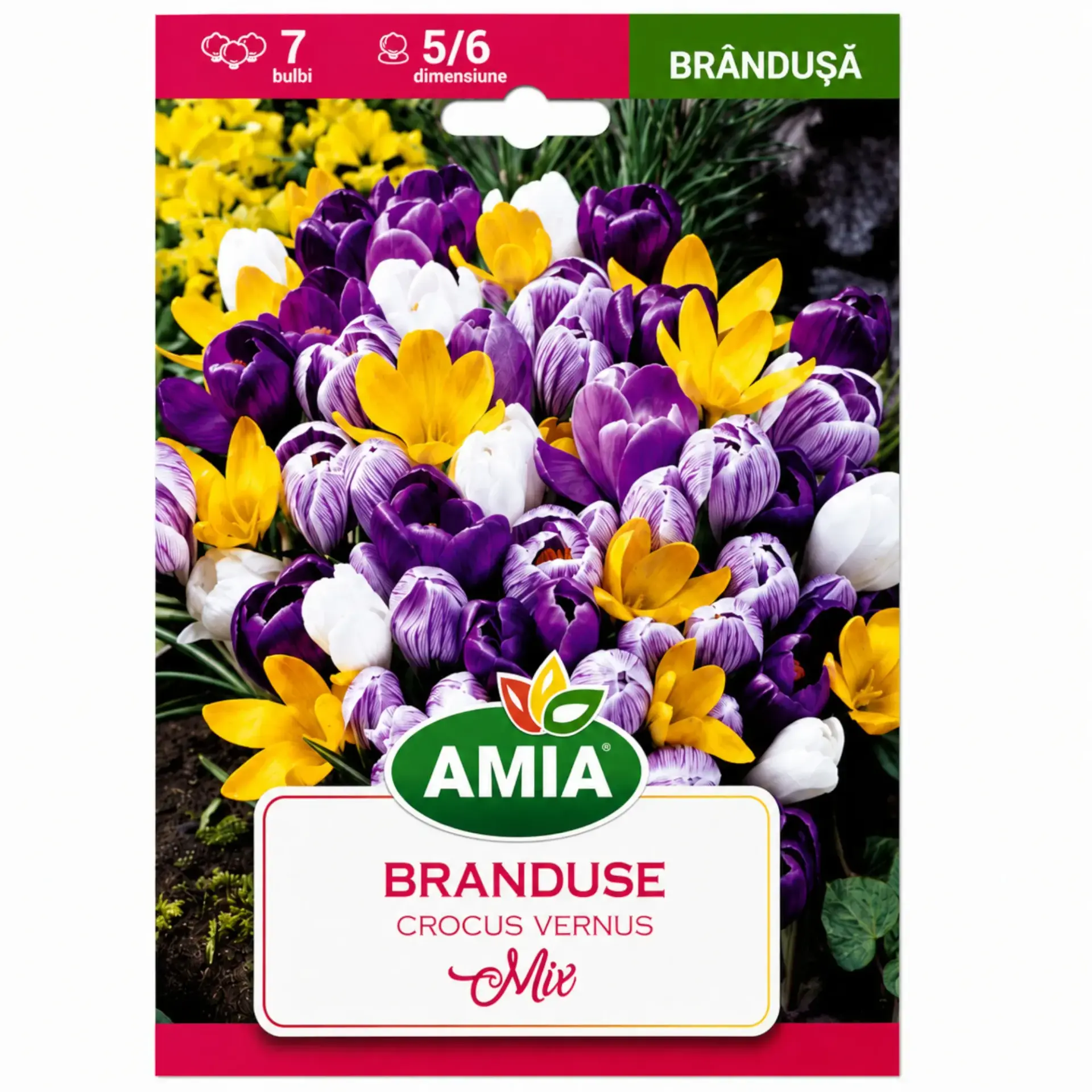 Crocus Mix