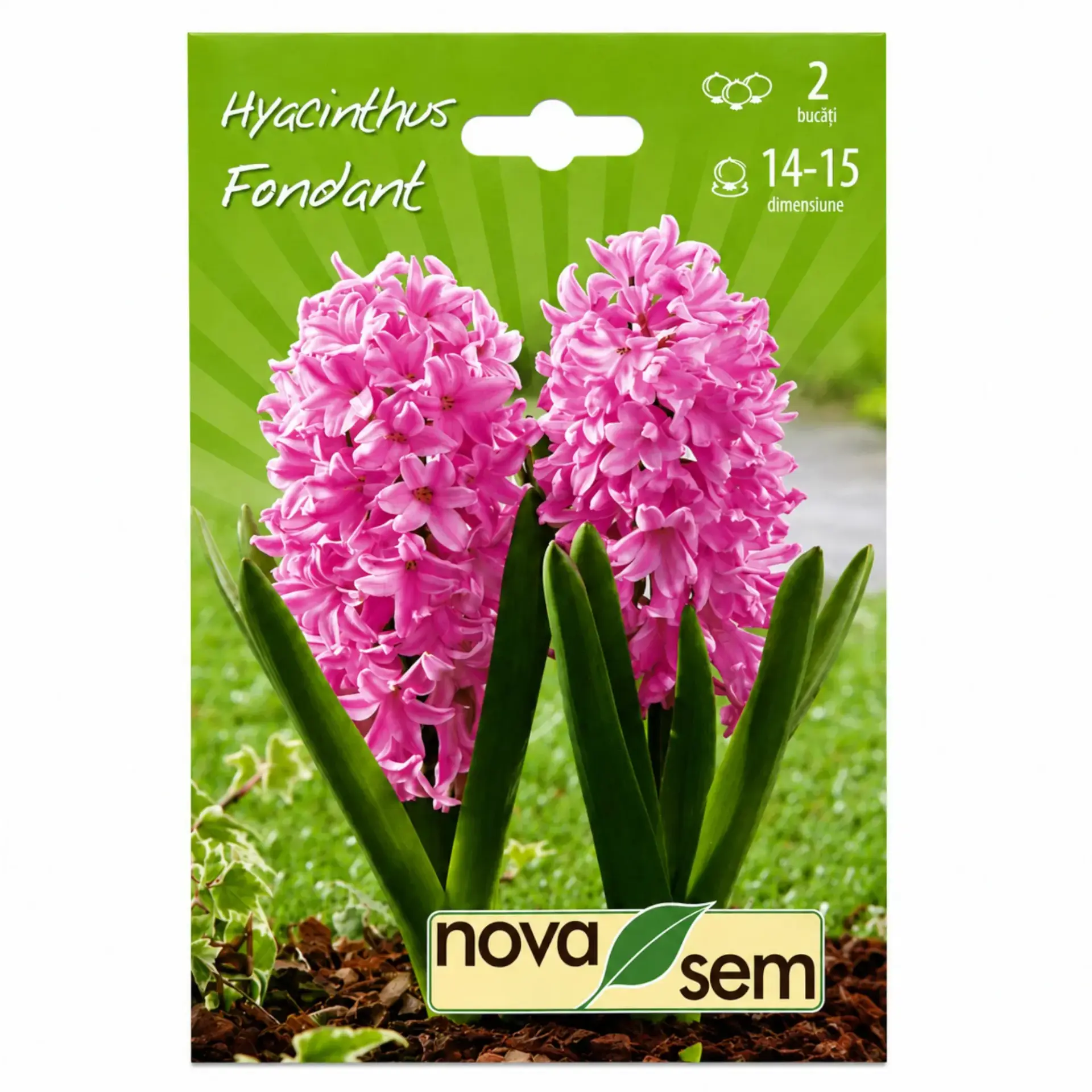 Hyacinths Fondant