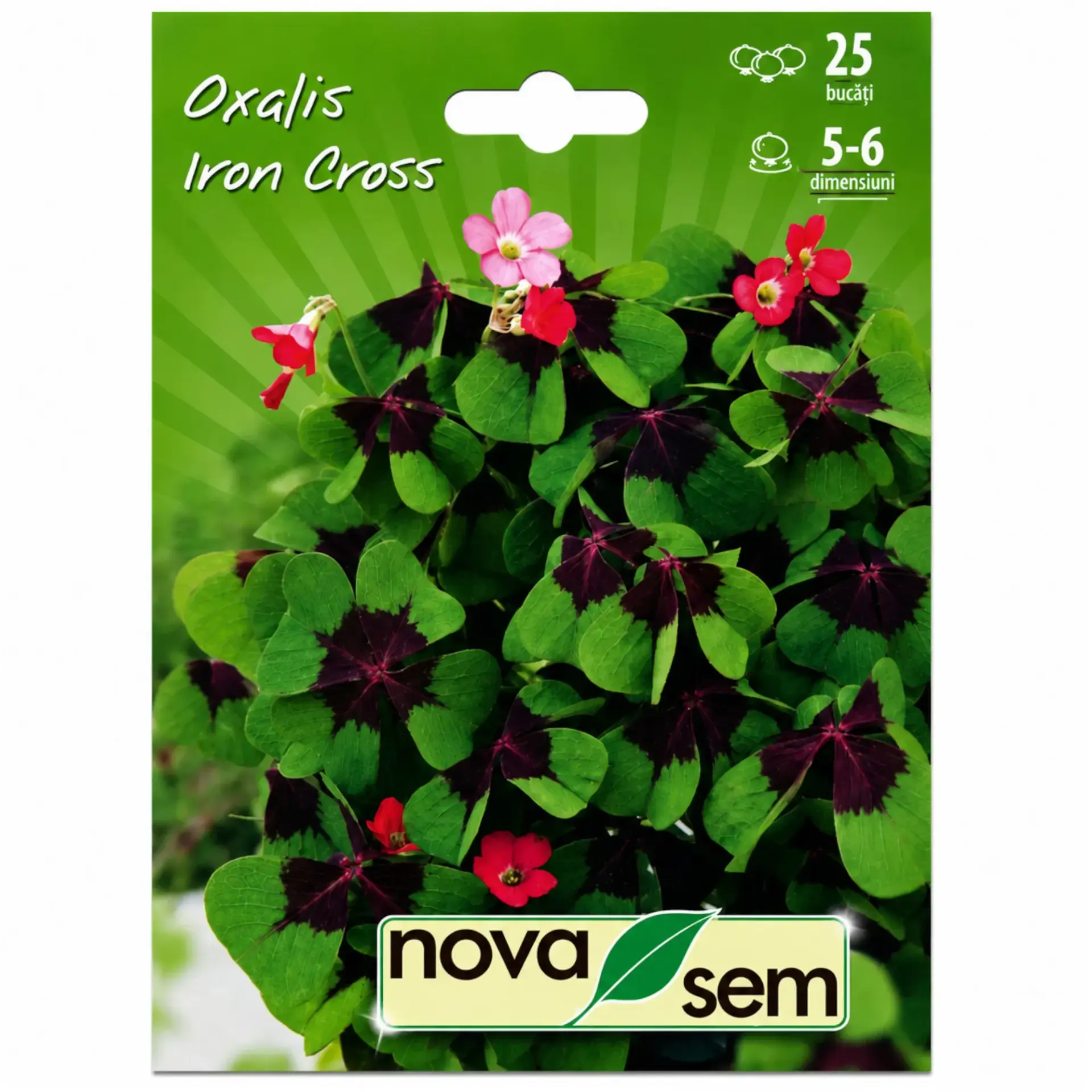 Ornamental clover Iron Cross