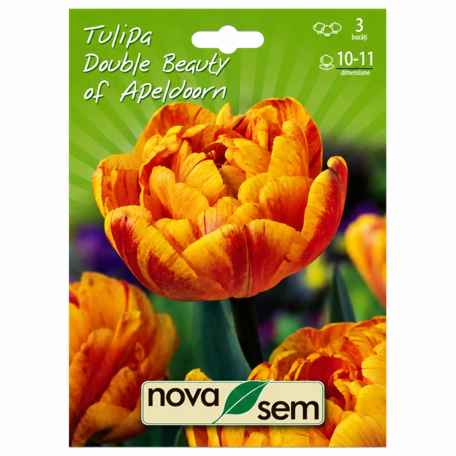 Tulips Double Beauty of Apeldoorn
