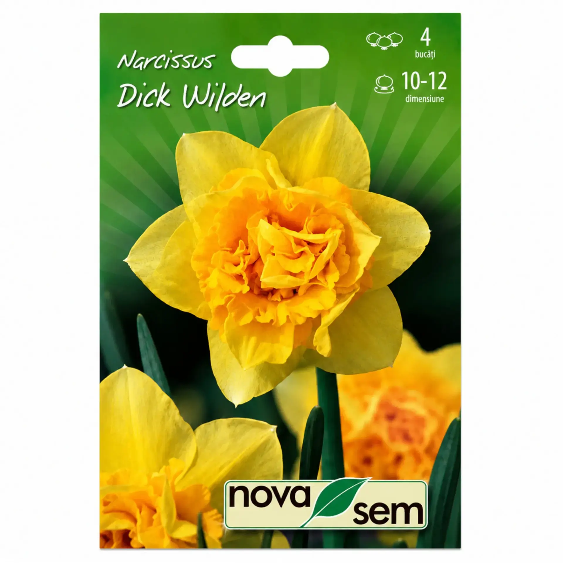 Daffodils Dick Wilden