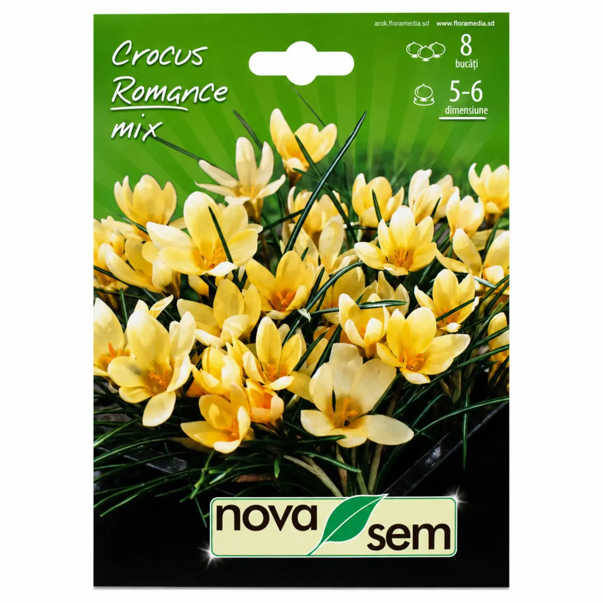 Crocus Mix