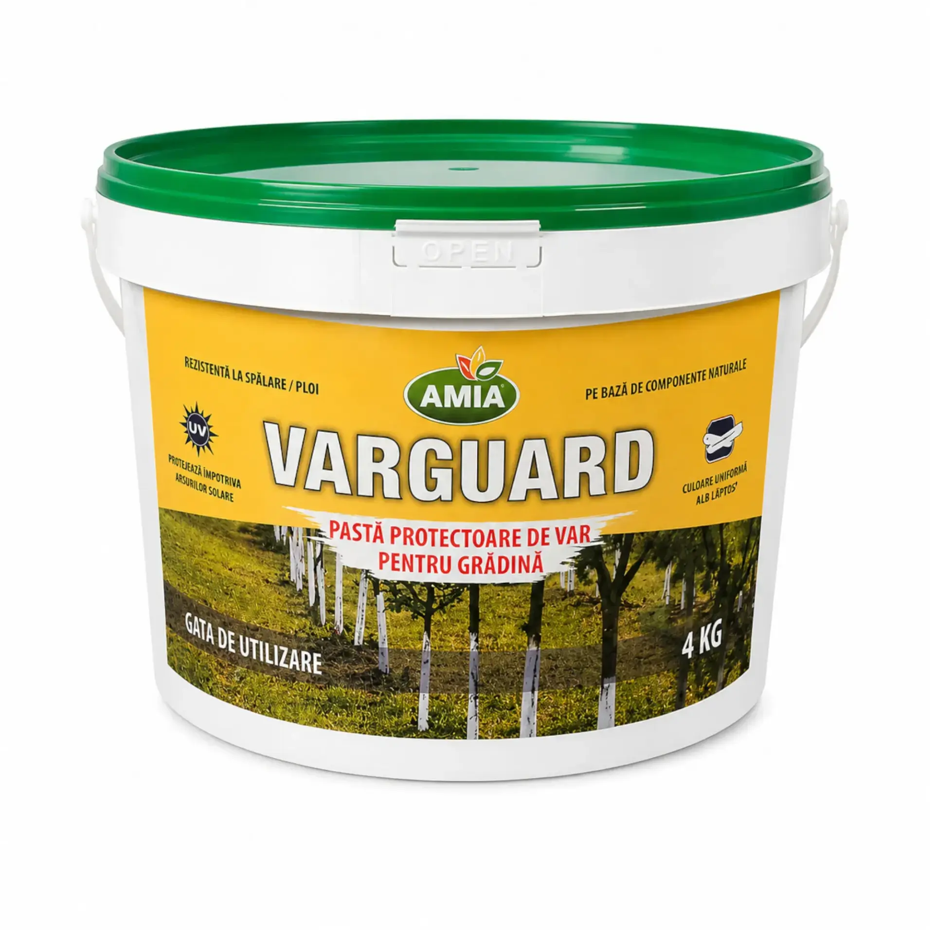 Protective lime paste 4 kg